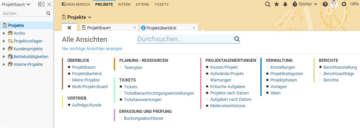Die Ansichtsübersicht im Bereich "Projekte"
