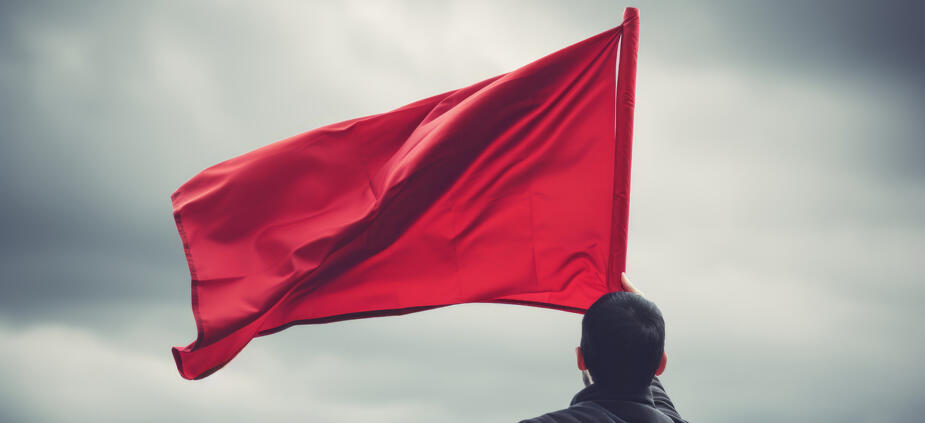 Is Your Project in Trouble? 13 Red Flags