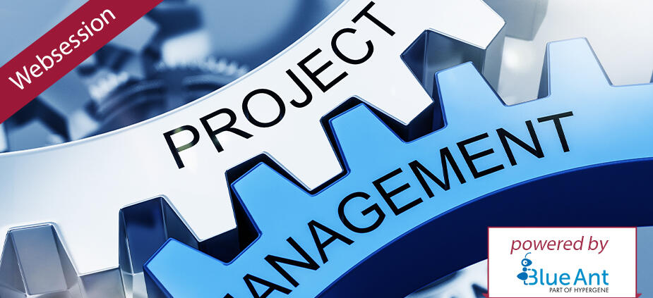 Erfolgreiches Projektmanagement: Best Practices für die Einführung von PM-Software