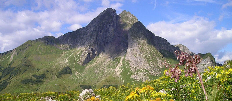 So planen Sie Ihren Tag mit der ALPEN-Methode