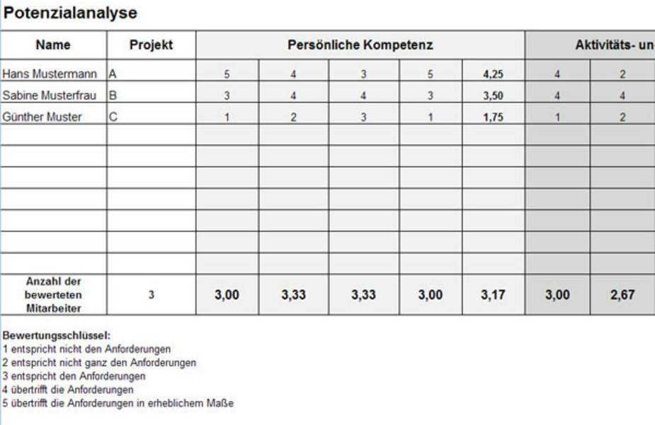 Potenzialanalyse Projektteam | Vorlage Word