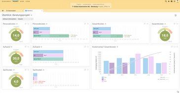 Projektüberblick mit Kostenverlauf in Projektron BCS