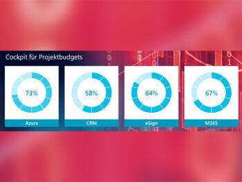 Microsoft Excel – mit Ringdiagrammen den Verbrauch von Projektbudget anzeigen